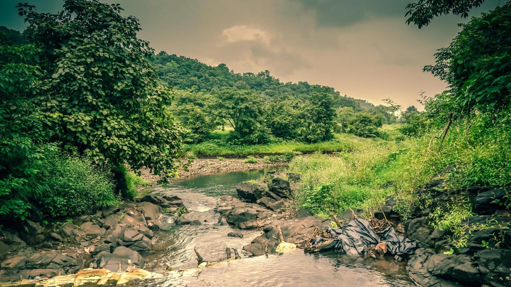 Whispering Peepul Resort Badlapur Exterior photo