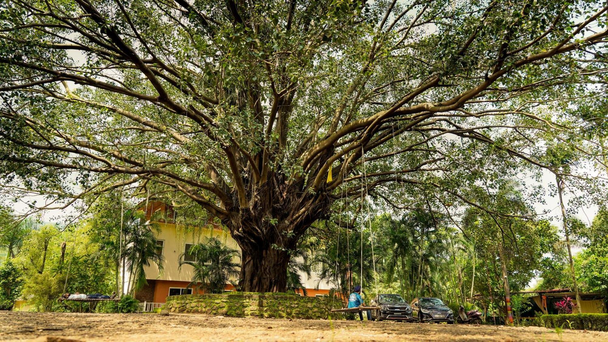 Whispering Peepul Resort Badlapur Exterior photo