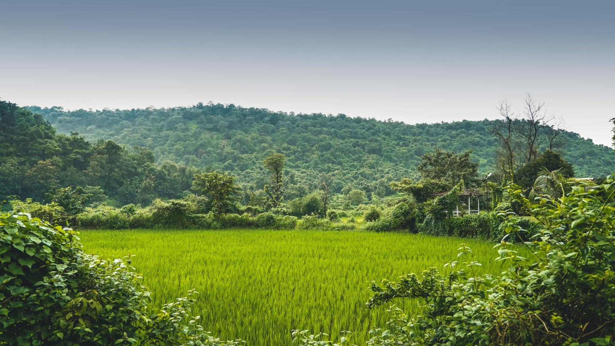Whispering Peepul Resort Badlapur Exterior photo